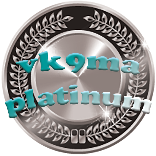 vk9ma platinum medal